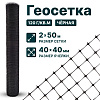 Геосетка 2х50